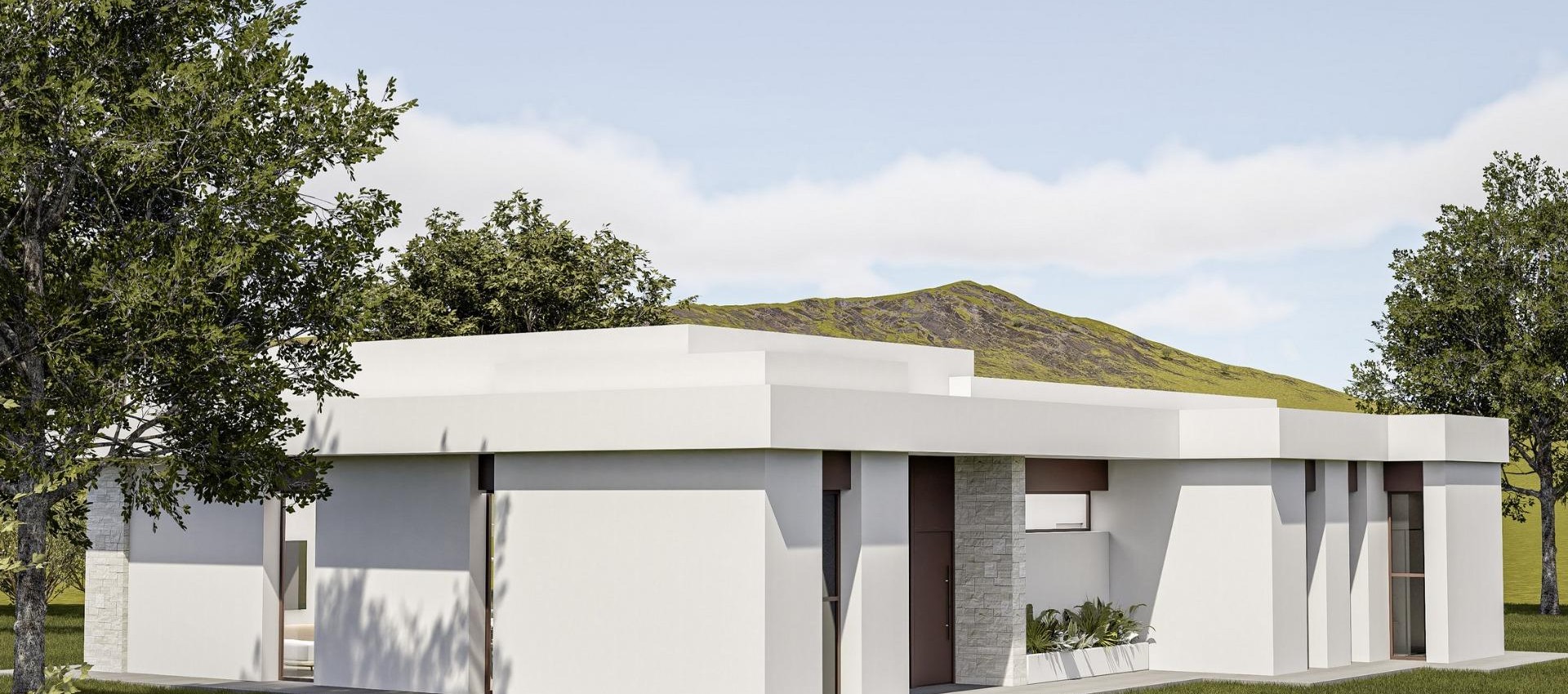 Nouvelle construction - Villa - Pinoso - Lel