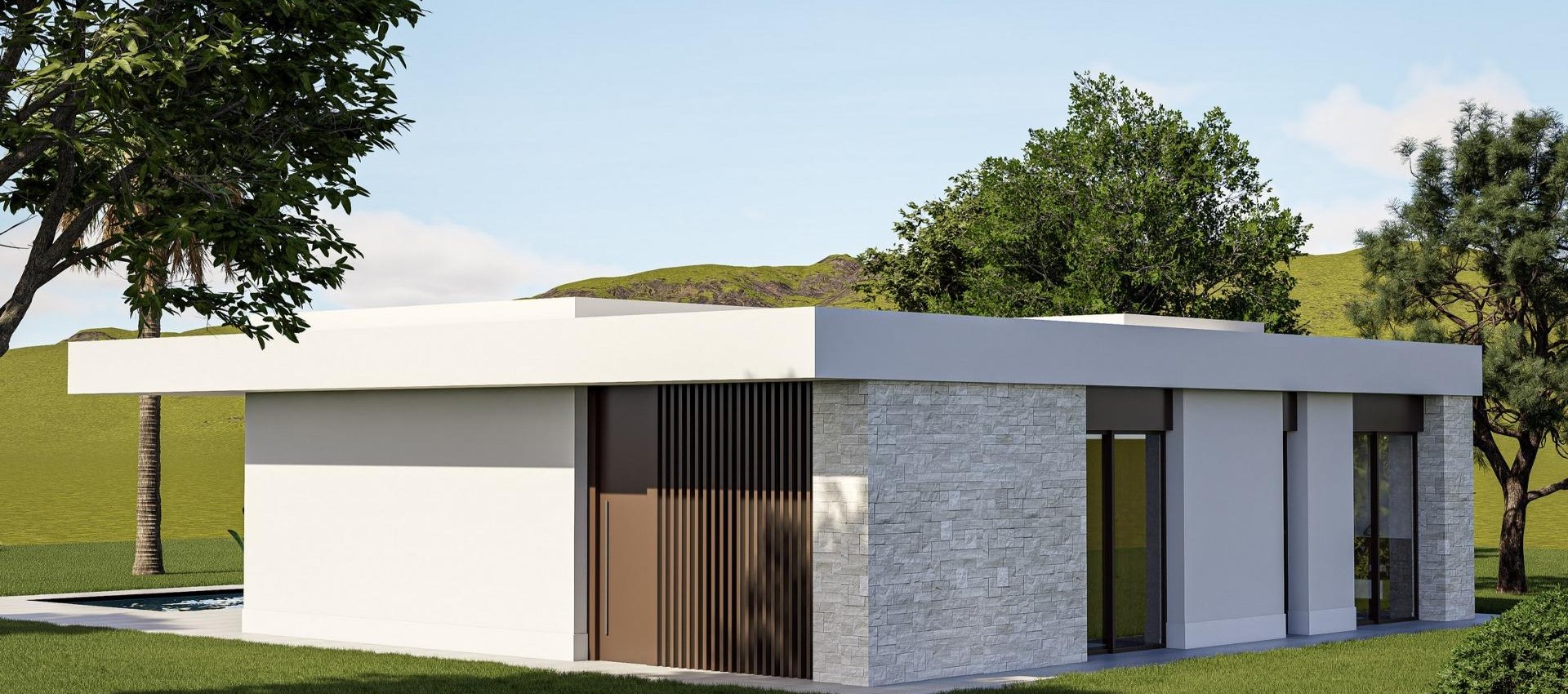 Nouvelle construction - Villa - Pinoso - Lel