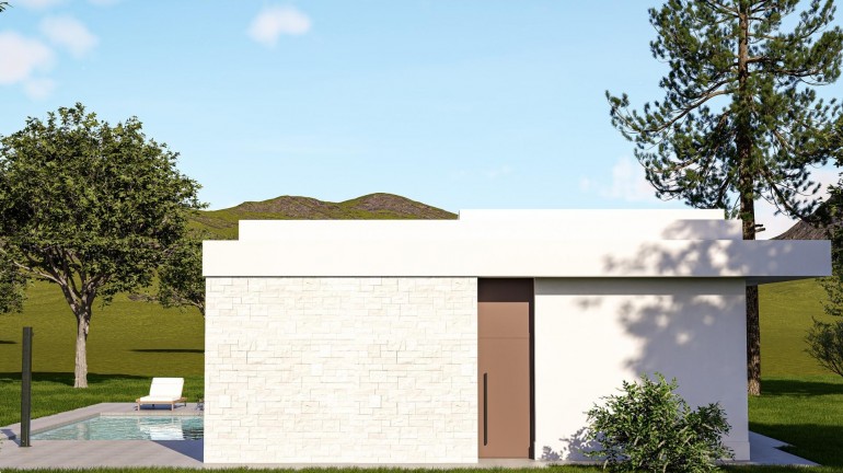 Nouvelle construction - Villa - Pinoso - Lel