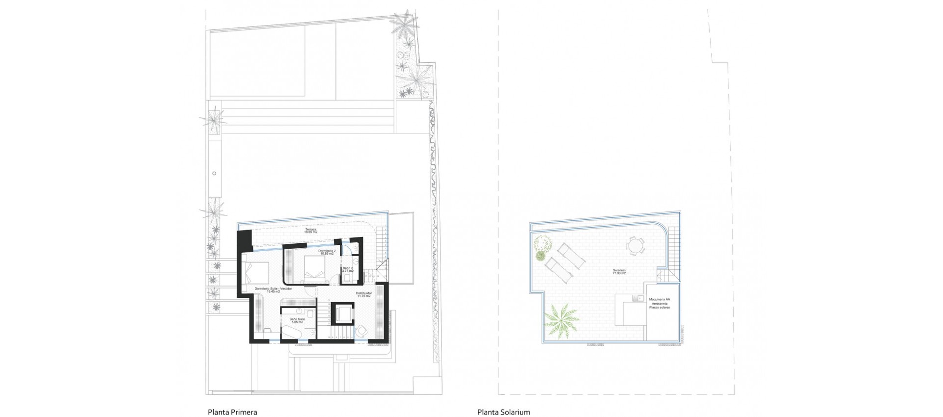 Nouvelle construction - Villa - Cabo de Palos - Cala Flores