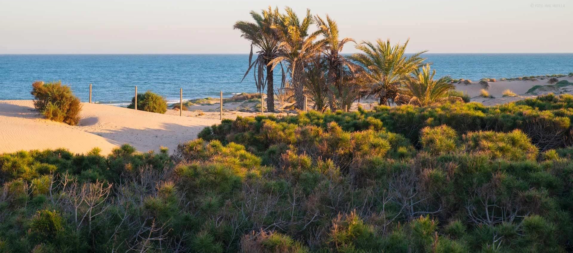 New Build - Apartment / flat - Guardamar del Segura - Avda del Puerto